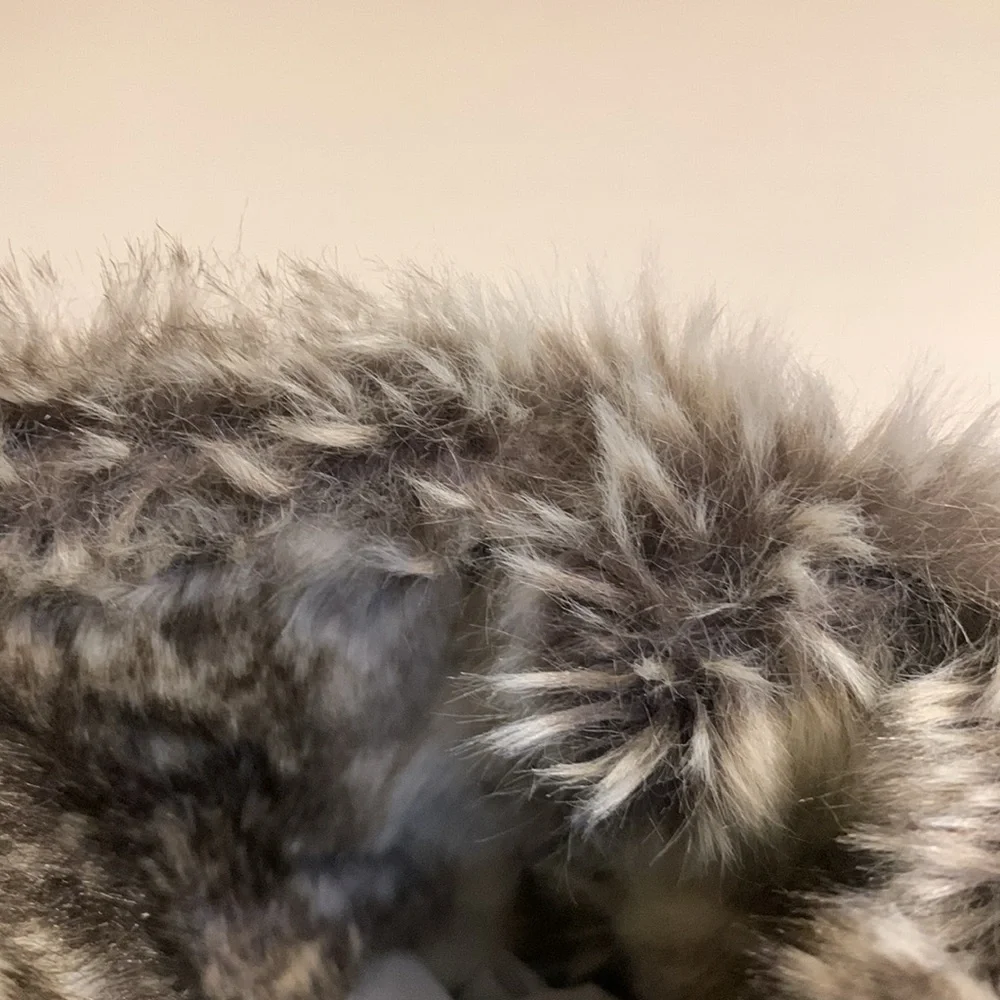 Tom’s Vista Suede Faux Fur Women’s Boots